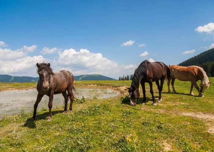 Villa Cujez With Sauna And Pool - Happy